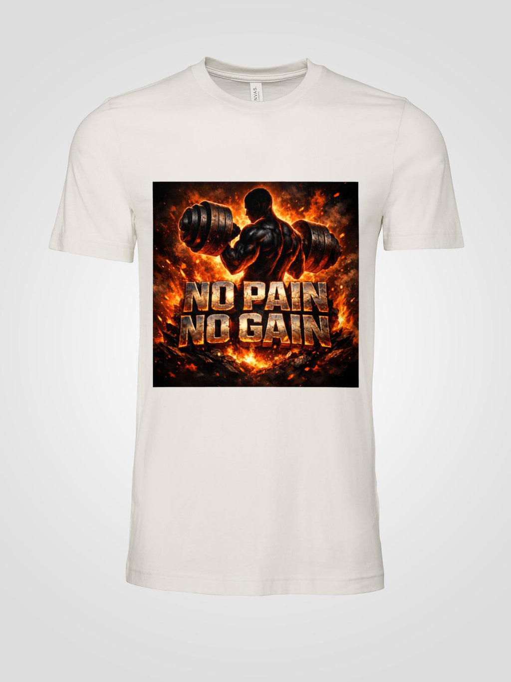 🔥 NO PAIN. NO GAIN - Heavyweight Gym Tee for Lifters & Grinders